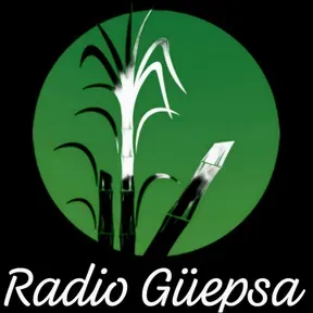 RADIO GÜEPSA