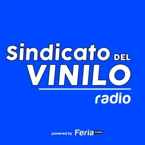 SINDICATO DEL VINILO