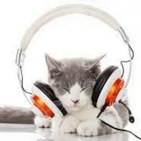 radio_da_profa_Jacky