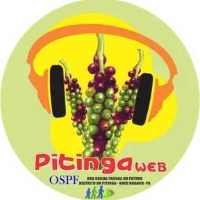 Pitinga Web