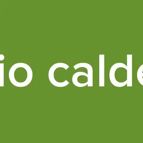 radio calden8