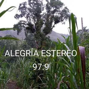 ALEGRIA ESTEREO 97.9