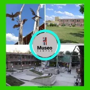 Fm Museo Campus