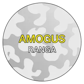 amogus radio