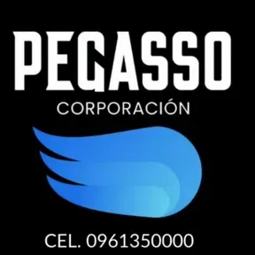 PEGASSO CORP