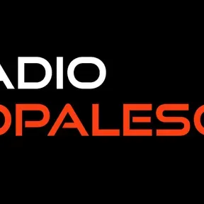 RADIO VOPALESON