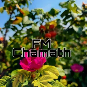 FM Chamath