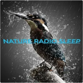 NATURE RADIO SLEEP