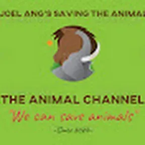 The Animal Channel