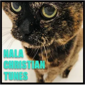 Nalas Christian Tunes