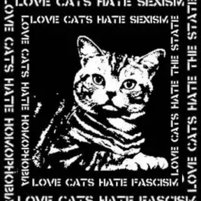 Cats Against Humanity