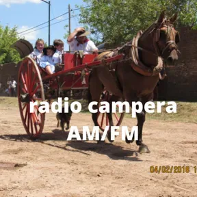 radio campera amfm