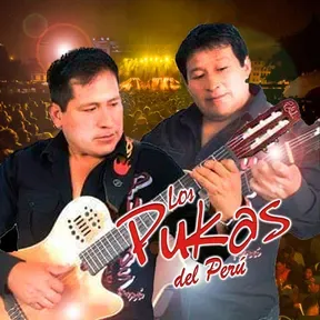 RADIO LOS PUKAS DEL PERÚ