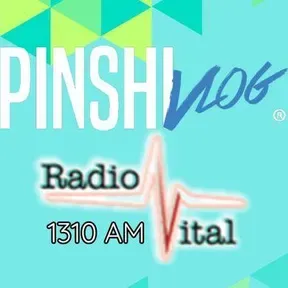 PINSHIVLOG NOW en vivo