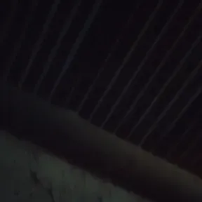 Angelo