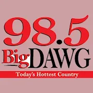 WDWG 98.5 FM