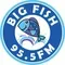 ZFKO Big Fish 95.5