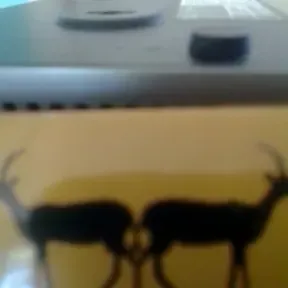 Kitovu fm