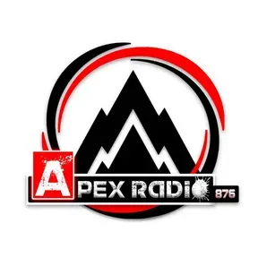 TEST - APEX RADIO 876