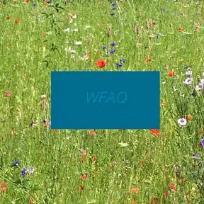 WFAQ Radio