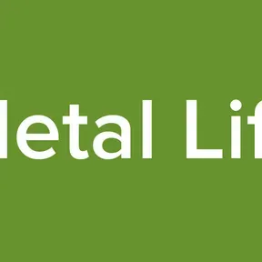 Metal Life