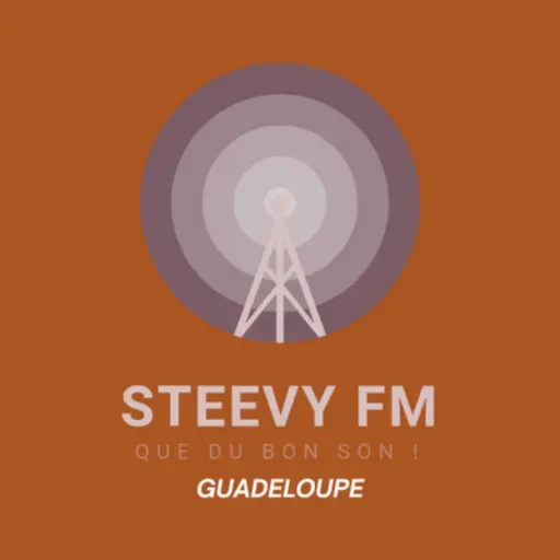 Les Infos - Steevy FM 2025-02-19 07:58