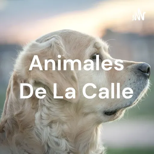 Animales de la calle