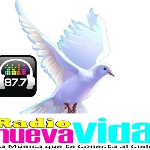 Grupo Grace Feat @OASIS MINISTRY    No Pararé (Libres Live.mp3