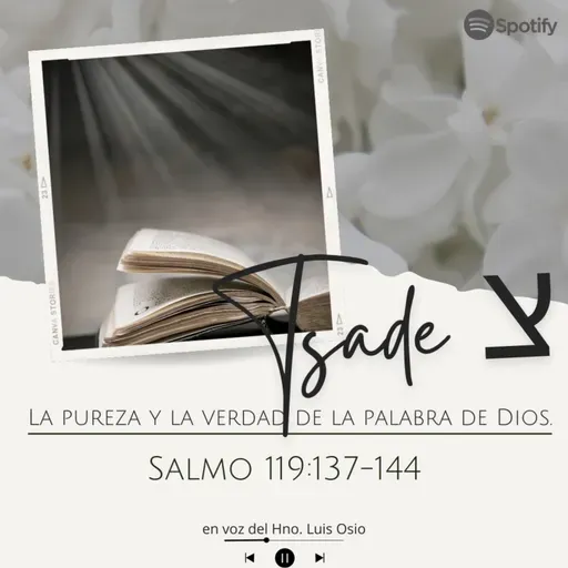 Salmo 119:137-144