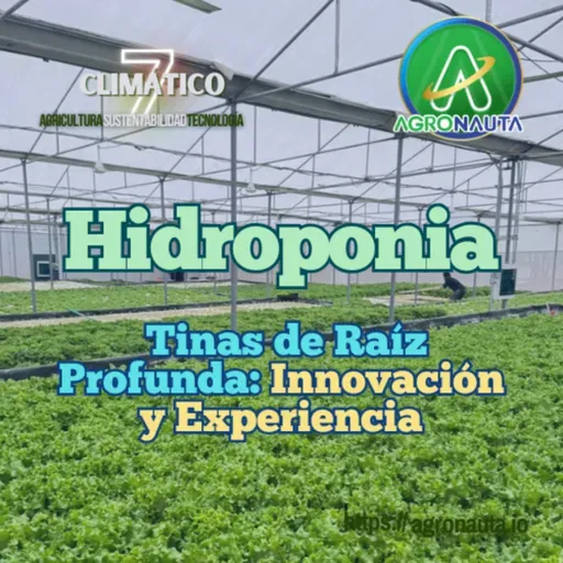 Hidroponia - Tinas de Raíz Profunda: Innovación y Experiencia