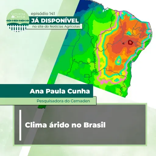 Com país cada vez mais seco, clima árido começa a surgir no nordeste brasileiro