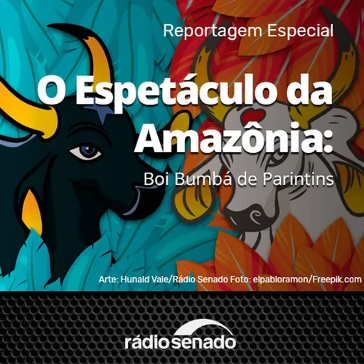 O Espetáculo da Amazônia - Boi Bumbá de Parintins