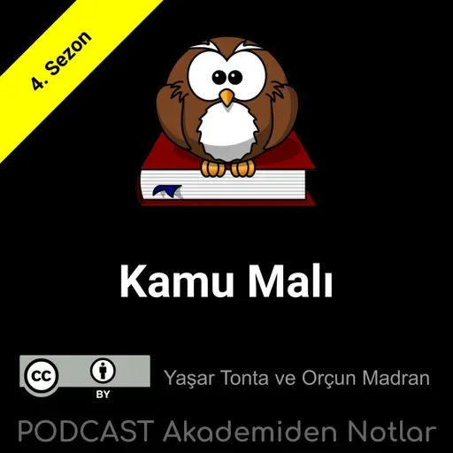 Akademiden Notlar 110: Kamu Malı