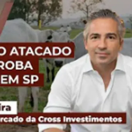 Carne no atacado sobe e já equivale a uma arroba de R$310 em SP; novas máximas vem de frigoríficos de mercado interno