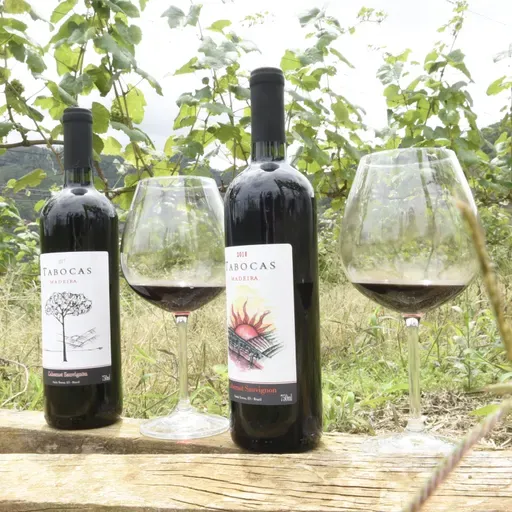 Conheça os "vinhos de inverno" e detalhes da poda invertida