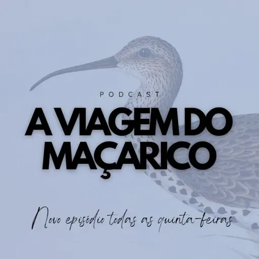 Ep. 129 | Estudo sobre aves e pragas em sistemas agrícolas, com Luís Silva