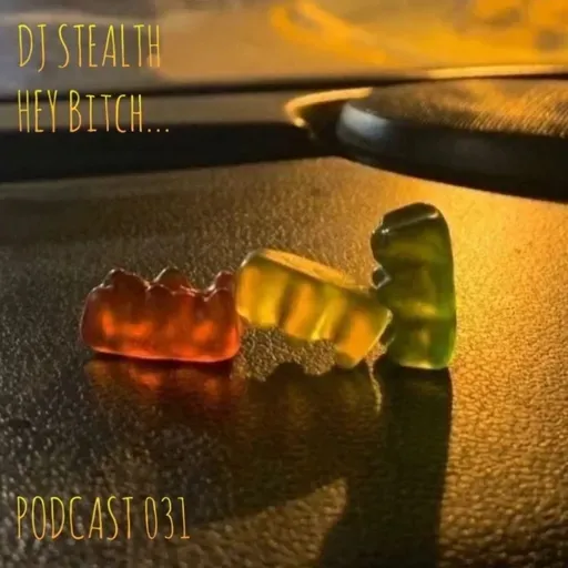 DJ Stealth - HEY bitch (Podcast 031)