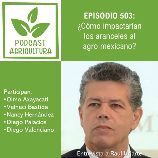 503 ¿Cómo impactarían los aranceles al agro mexicano?