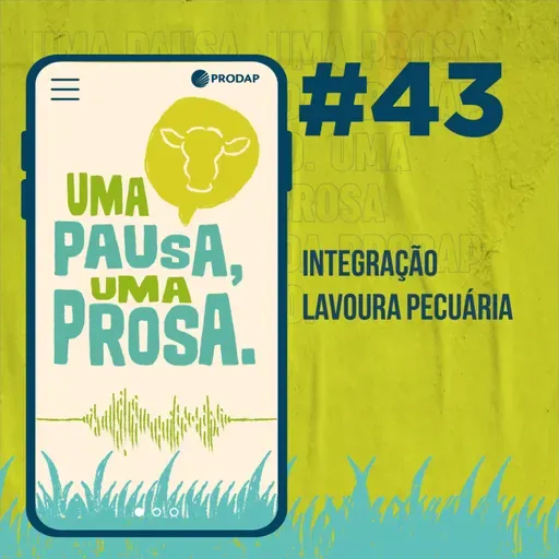 EP 43 | Integração lavoura pecuária