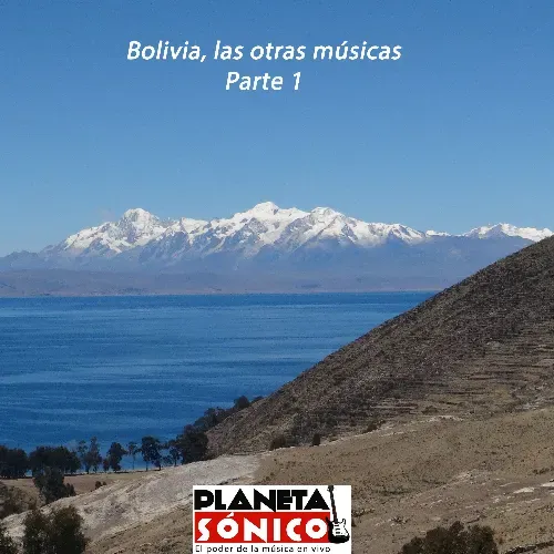 Planeta Sónico N° 116