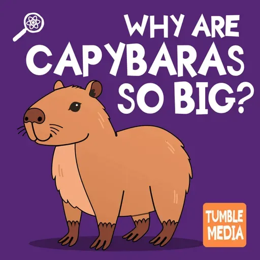 Why are Capybaras So Big?