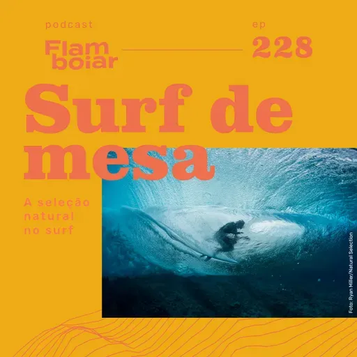 228 - A seleção natural no surf