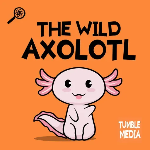 The Wild Axolotl