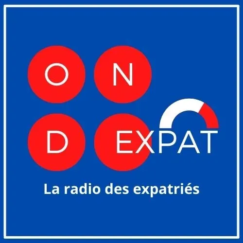 Podcast : pourquoi stigmatiser ainsi les Français de l’étranger ?