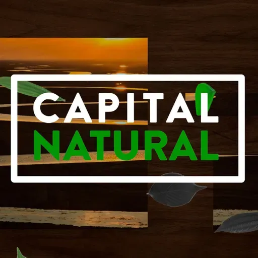 Capital Natural - Bioma Pampa gaúcho | Parte 5