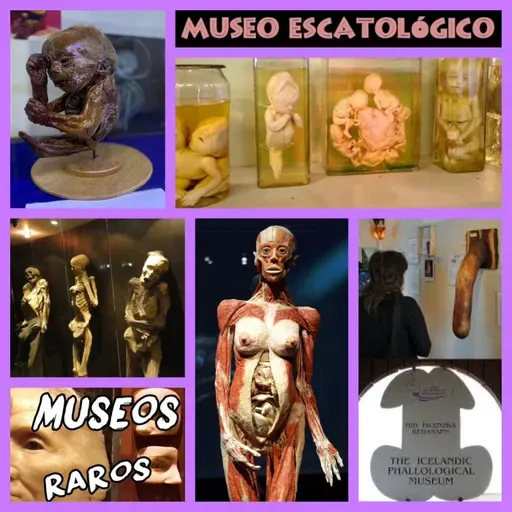 Museos Extravagantes e Insólitos