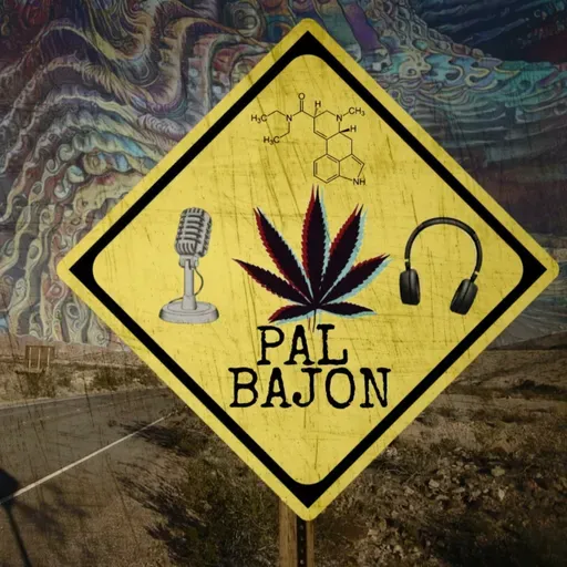 Pal Bajón #98 - ¿Que paso con el Plantón 420?