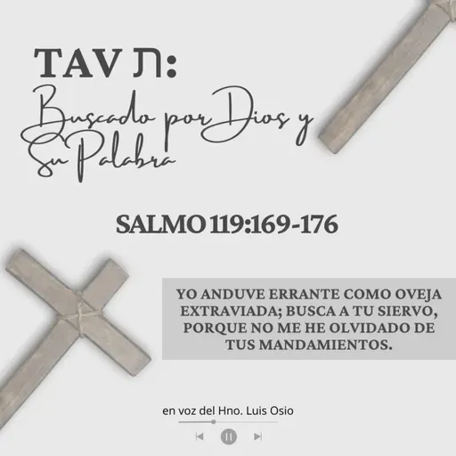 Salmo 119:169-176