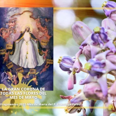 DÍA TREINTA Y UNO: LA GRAN CORONA DE TODAS LAS FLORES DEL MES DE MAYO