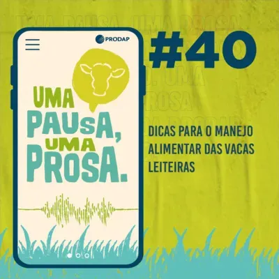 EP 40 | Dicas para o manejo alimentar das vacas leiteiras